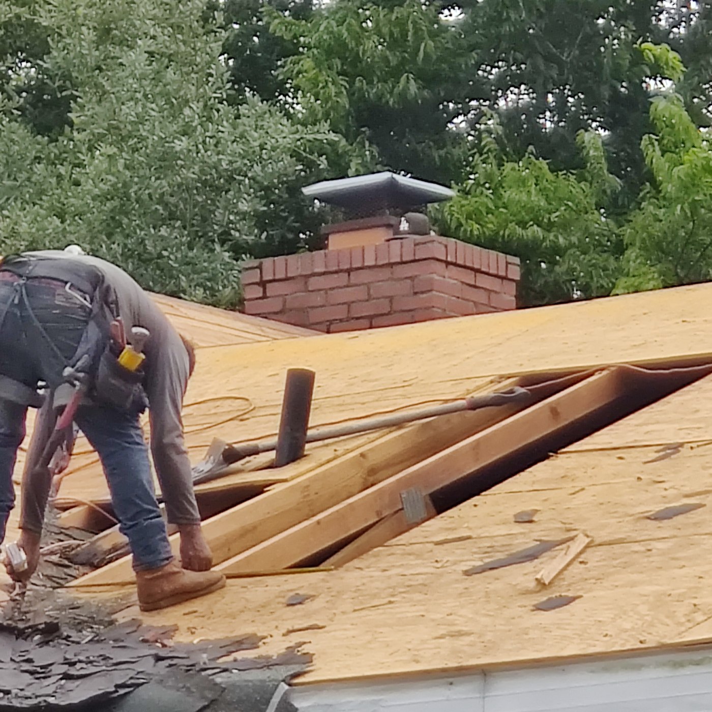 Barnwell roofing project — roof decking work in progress